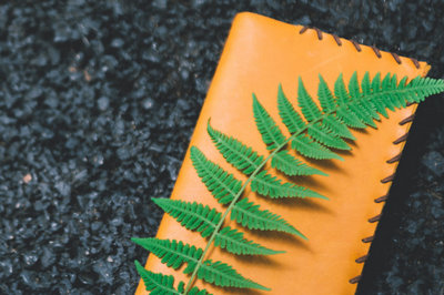 北京大學(xué)在職研究生 北京大學(xué)在職研究生