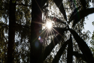 北京大學(xué)在職研究生 北京大學(xué)在職研究生