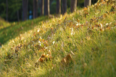 在職研究生報考條件 在職研究生報考條件