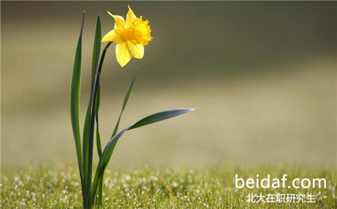 北京大學(xué)在職研究生 北京大學(xué)在職研究生